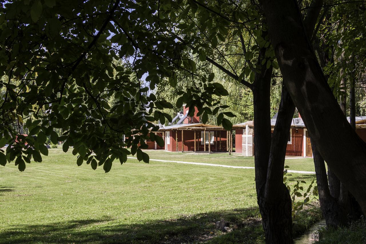 Cabanas El Remanso Tupungato Eksteriør bilde